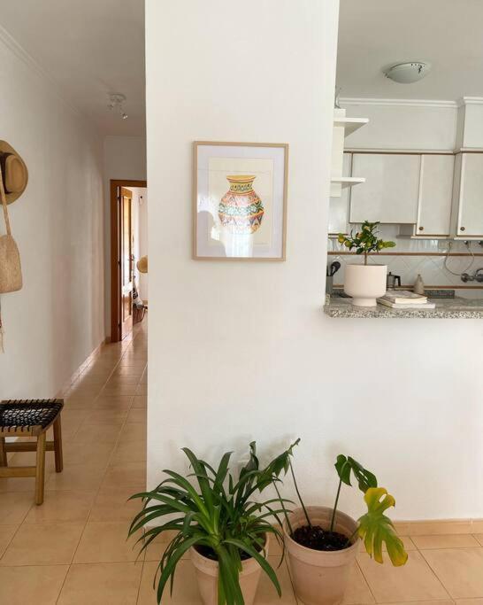 Apartamento Mediterraneo Entre Vinedos Jesus Pobre Exterior foto